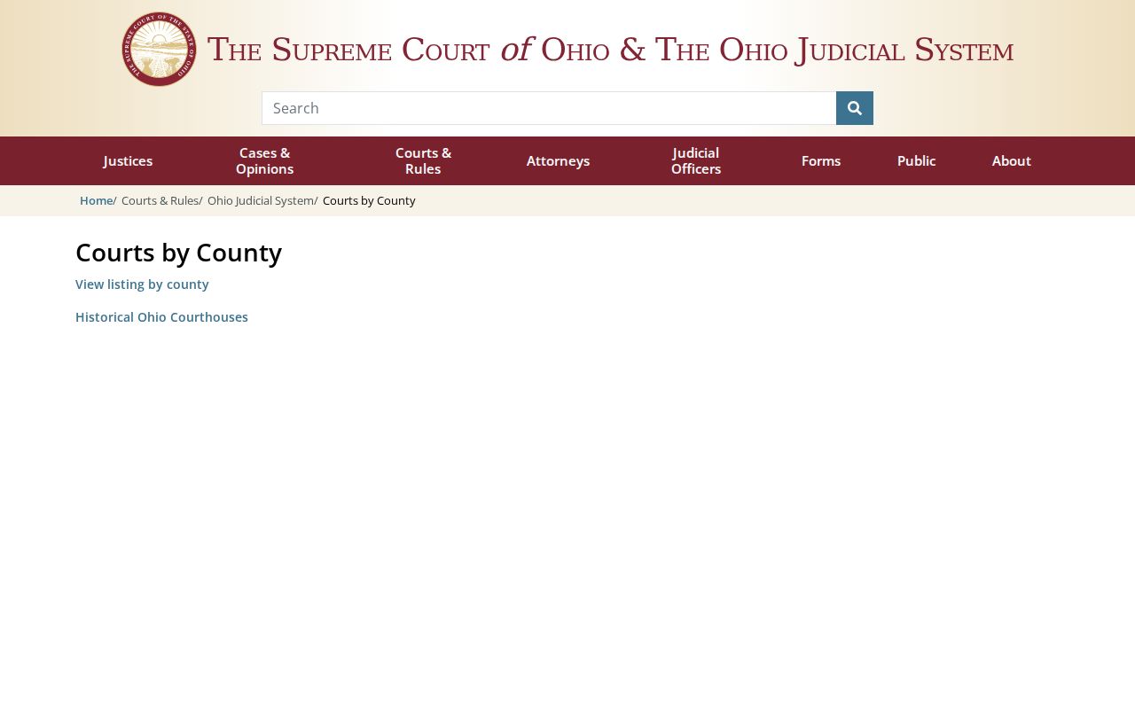 Scioto County court docket Ohio trial courts directory
